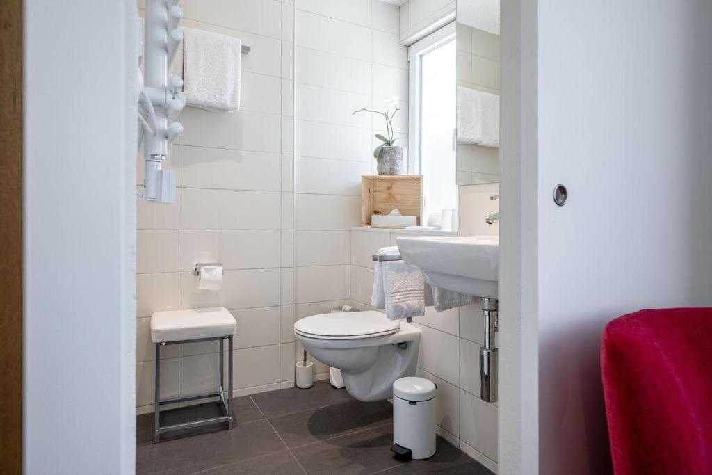 Hotel Zur Traube Brigerbad Exteriér fotografie